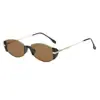 Nuevas Gafas de Sol Ojo de Gato Adelgazantes Marrones de Gama Alta Retro Modernas de Montura Estrecha Marrón Espejo Pequeño Marrón para Mujeres con Caras Cuadradas y Redondas