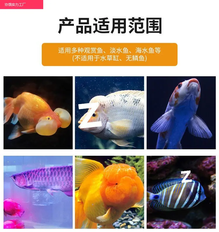 6d780b98-e72e-4993-ab14-7604233b339f.jpe