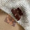 Mini Presilha de Cabelo com Diamantes Cintilantes para Mulheres, Presilha para Franja da Testa, Presilha Lateral para Franja, Grampo de Cabelo, Presilha Lateral, Acessório de Cabelo
