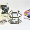 Venda Direta de Fábrica Bronze Galvanizado Revestido Florário de Vidro de 6 Cantos Plano Recipiente para Caixa de Flores Eternas de Micro paisagismo