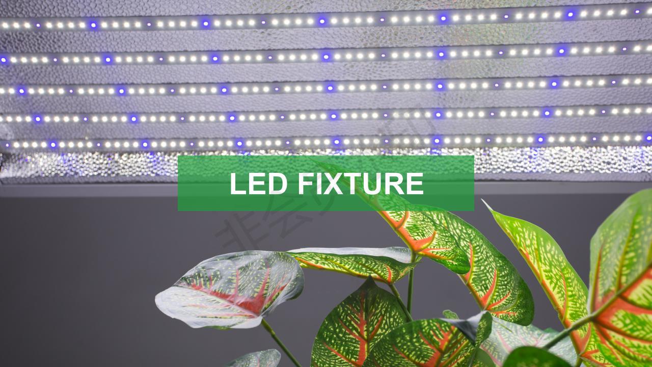 Lighting-2021_00
