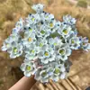 Cerámica de Jingdezhen Flor Hecho a Mano Porcelana de Alta Temperatura Adornos de Escritorio Mezclados y Combinados Floristería Multicolor Flor Inmortal Al Por Mayor