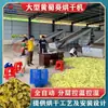 Equipo de Extracción, Trituración y Secado de Okra con Cinturón de Malla Secador Totalmente Automático para Durazno Dorado Dulce Secador de Okra