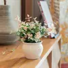 [Piedra Colgante de Flores y Hojas] Plantas Verdes Trepadoras Coloridas, Plantas de Flores en Maceta de Escritorio en la Oficina, Fáciles de Cultivar, Resistentes al Calor y al Frío