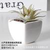 Simulação carnudo bonsai de cerâmica home office enfeites de mesa plantas verdes em vasos adereços de tiro bacia de combinação artificial