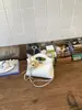 Bolsa Transversal de Ombro Feminina Estilo Novo Primavera 2026, Bolsa de Mão com Corrente Estilo Coreano da Moda com Aparência Sofisticada, Bolsa Feminina da Moda