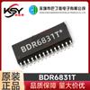 Bading Micro Bdr6831T Tssop28 Chips para Máquinas de Punto de Venta/Impresoras/Iluminación de Escenario y Otro Control de Motores