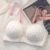 Lingerie Doce Floral de Renda Estilo Francês para Mulheres com Seios Pequenos, Suporte Push-Up, Coleta Lateral dos Seios, Antiquebra, Sutiã Jovem e Energético