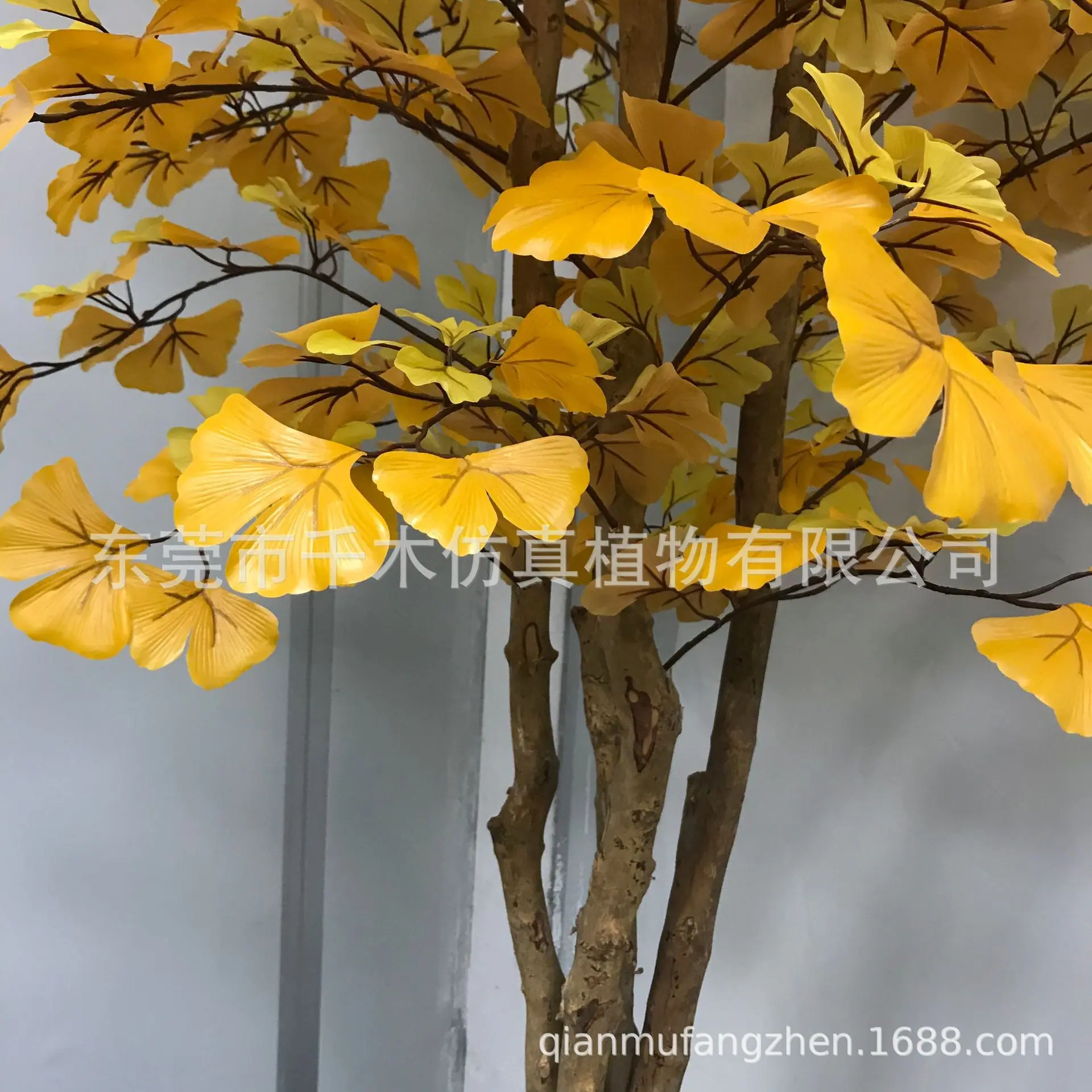 微信图片_2021052809445317