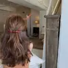 Pinza Popular para el Cabello con Lazo Transfronterizo, Pasador de Acetato, Pinza de Resorte para la Parte Trasera de la Cabeza, Pinza de Alto Nivel para Flequillo, Accesorio para el Cabello para Mujeres