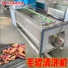 Máquina Multifuncional de Limpeza e Descascamento com Escovas, Máquina de Limpeza de Raiz de Lótus, Máquina Comercial de Descascamento e Limpeza com Rolo Ondulado para Batata Doce e Batata