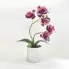 Flor Artificial Orquídea Phalaenopsis em Vaso 2 Hastes 5 Flores Decoração para Casa e Escritório Pequeno Vaso Fotografia Falso Bonsai Planta Verde Pequeno Bonsai