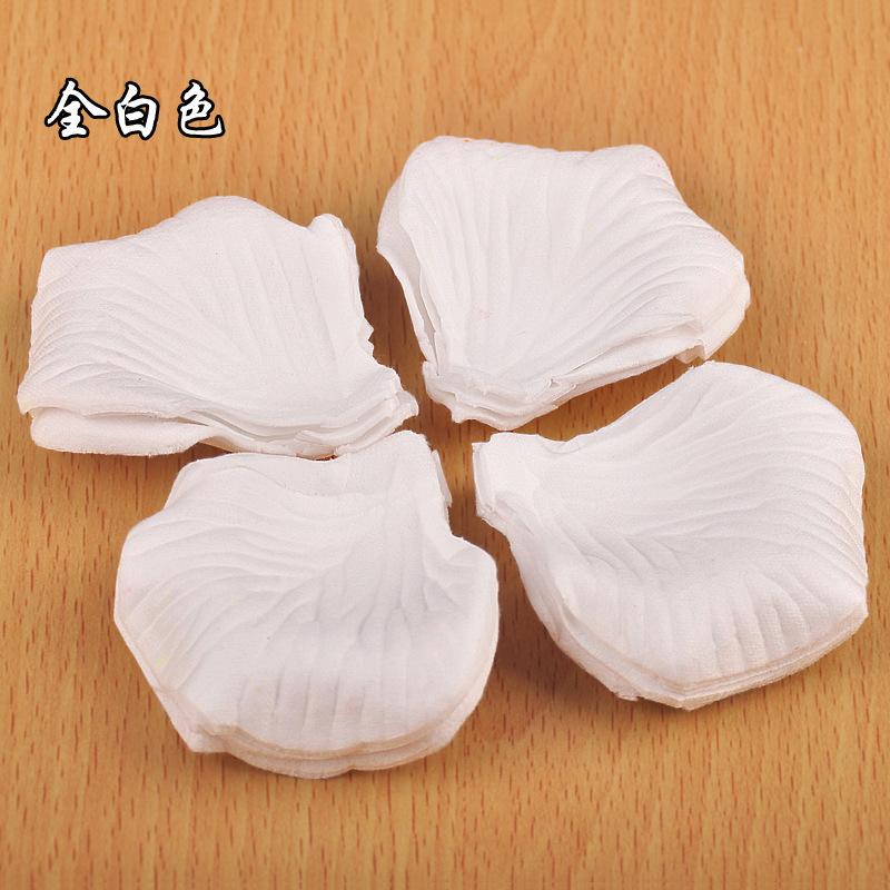 2811899825_1354842517