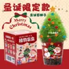Planta en Lata Fácil de Cultivar Caja Sorpresa Regalo de Regreso a Clases para Estudiantes Jardinería DIY de Preescolar Souvenir con Logo Impreso Venta al Por Mayor