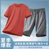 Traje de Seda de Hielo para Hombre de Gama Alta, Ligero y Transpirable, Verano, Manga Corta, Shorts, Traje de Verano Casual para Hombre, Dropshipping