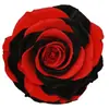 Flores Eternas 9-10cm Rosas Gigantes Personalizables Venta al por Mayor Productos Terminados DIY Cabezas de Flores Grandes Venta al por Mayor de Fábrica