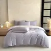 Cor Sólida Estilo Simples Amigo da Pele Nuvem Macia Bicolor 100% Algodão Algodão Puro 13372 Conjunto de Quatro Peças Lençol de Cima Lençol com Elástico Estilo Conjunto de Quatro Peças