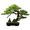 Novo Bonsai Artificial Estilo Chinês Inspirado em Zen Pinheiro Acolhedor e Pinheiro Arhat para Decoração de Escritório, Sala de Estar e Hall de Entrada