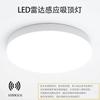 Lámpara de Techo LED a Prueba de Agua, Polvo y Golpes con Control de Sonido y Luz, Sensor de Radar, Detección de Movimiento Corporal, Luz de Pasillo, Inteligente, Moderna, Minimalista