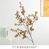 Plantas Verdes Artificiales con Forma de Fruta con Color en Spray, Diseño de Frutas Frescas y Naturales, Materiales Florales Especiales para Arcos de Boda, Paredes de Flores y Arreglos Florales