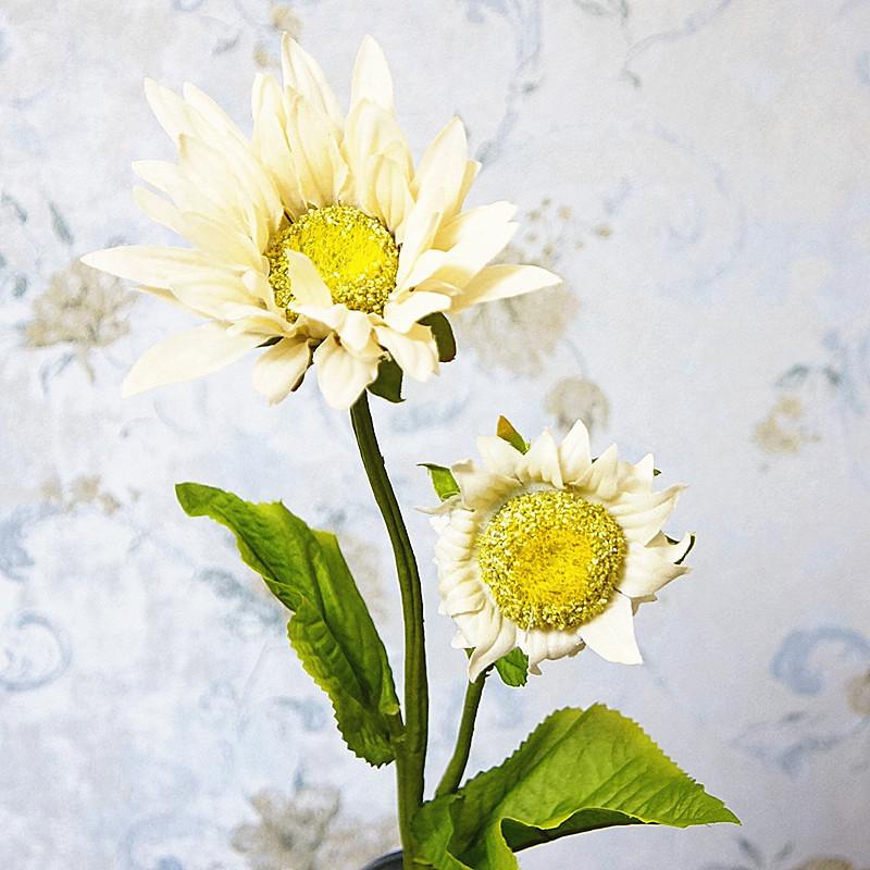 10408049699_734720388