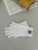 Luvas de Ciclismo Fofas com Forro de Lã à Prova de Vento e Frio para Outono e Inverno, Luvas de Pelúcia com Dedos para Estudantes, Luvas de Imitação de Caxemira para Meninas