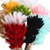 Buntail ramo de flores secas estilo Ins bolsa decorativa de flores secas ramo cola de perro flor seca color macarrón cola de conejo