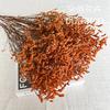 Flor seca de Yunnan flor eterna hierba de cristal base de flor real fabricantes mayoreo decoración del hogar arreglo floral diy materiales hechos a mano