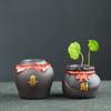 Mini Florero Wufu Transfronterizo Estilo Chino Arena Púrpura Rotación Verde Hierba de Monedas de Cobre Maceta Hidropónica Cerámica de Escritorio Mascota de Té Pequeños Adornos