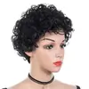 Peluca Afro Corta Rizada Africana Más Vendida Peluca Esponjosa de Pelo Corto para Mujer Fabricante Lista para Enviar Comercio Exterior Mayorista