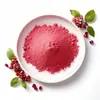 Polvo de Fruta de Granada Concentrado Soluble en Agua Polvo de Comida de Reemplazo de Frutas y Verduras Polvo de Jugo de Fruta Horneado Materia Prima para Bebidas Sólidas en Stock Polvo de Granada