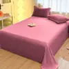 Sábana de terciopelo de leche engrosada de invierno, manta de vellón de coral de una sola pieza, manta de franela de vellón de doble cara, juego de ropa de cama de felpa para dormitorio