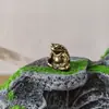 Antigo sapo sólido banhado a latão, lindo sapo dormindo, criativo, enfeites de mesa, peso de papel, chá, animal de estimação, peça de mão, brinquedo de chá, pequenos enfeites