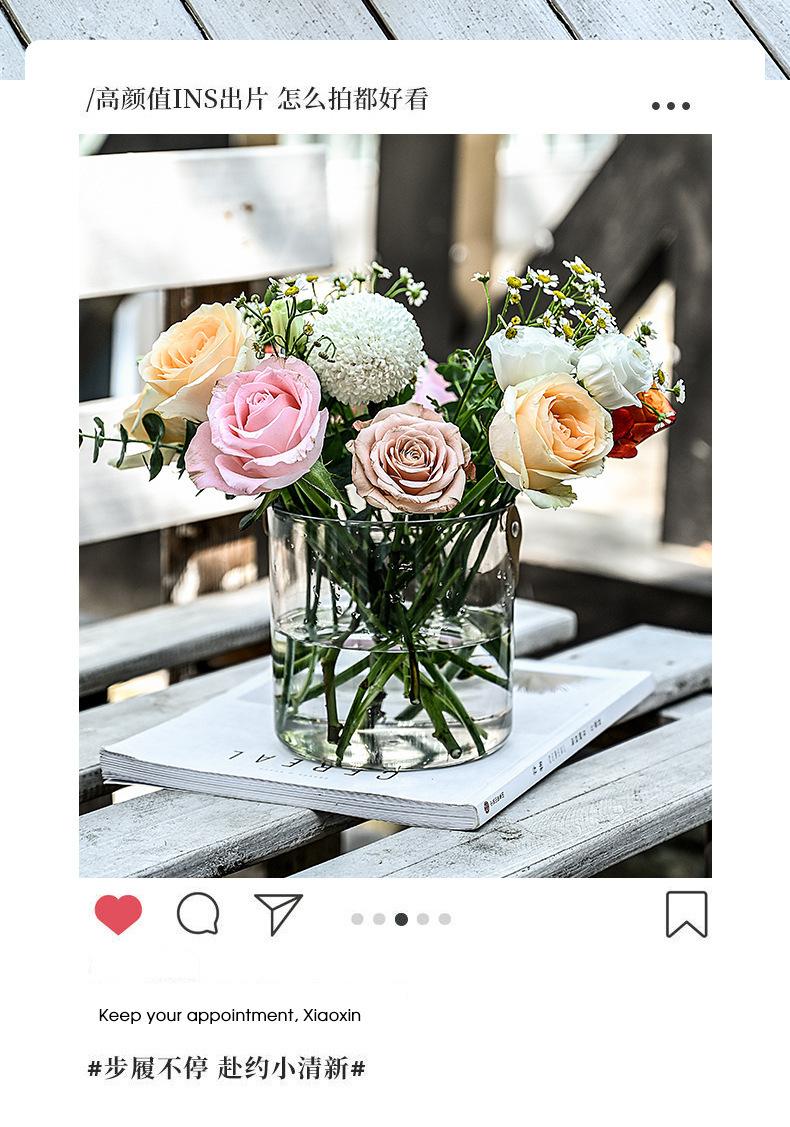透明水果桶冰桶户外野餐篮