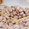 Os produtores de feijão vermelho produzem feijão vermelho grande especial de Yunnan, feijão vermelho 5 libras de grãos de sementes de feijão vermelho a granel