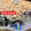 Arena de fondo para acuario, piedras decorativas, juego completo de piedras florales de lluvia ecológicas naturales, piedras luminosas y piedras en bruto