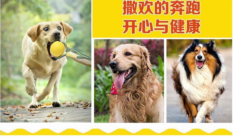 10387479632_1581603375.jpg__看图