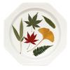 Folha de bordo, coquetel de ginkgo, folha de árvore real, decoração criativa, espécime de planta, flor seca, material em relevo feito à mão, lote