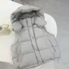 Chaleco de algodón de capas estilo coreano para mujer, nueva colección de invierno 2026, chaqueta corta de algodón única y elegante, prenda exterior gruesa