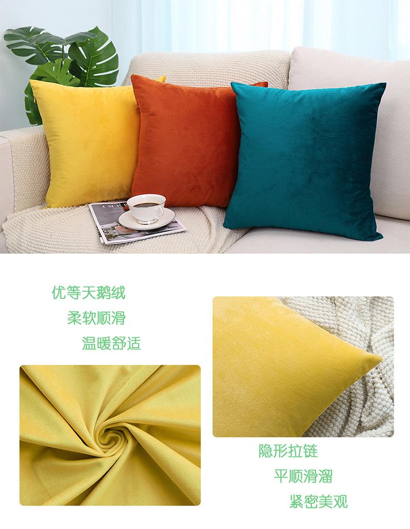毛绒细节.jpg