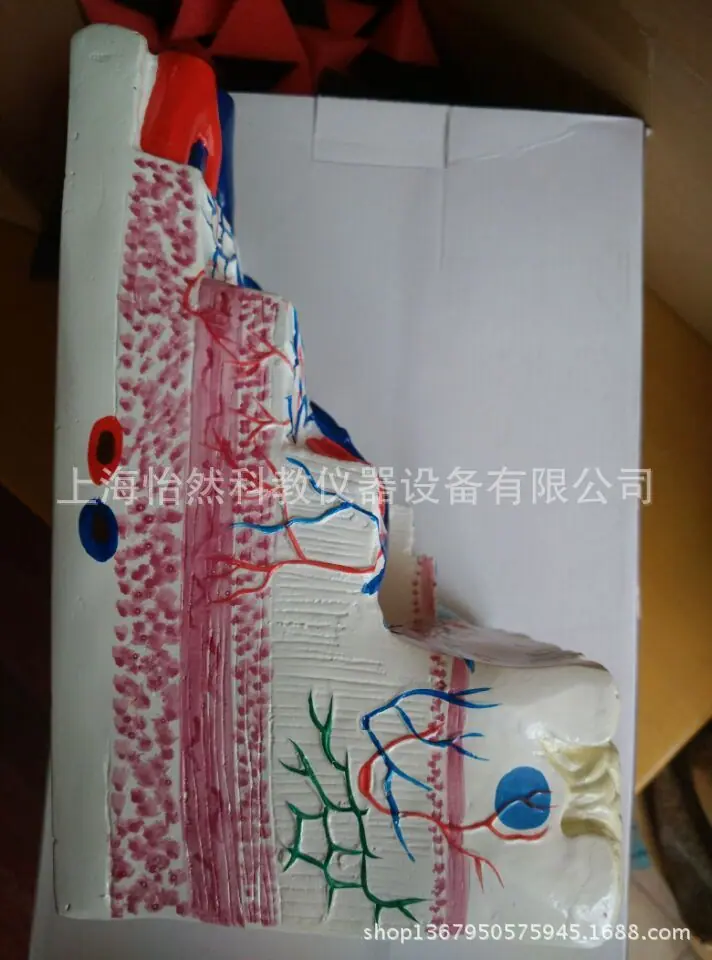 QQ图片20150426101905