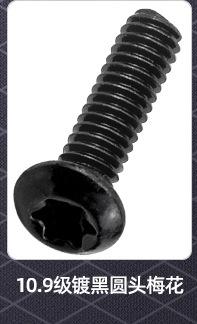 圆头防盗梅花螺丝_02_03.jpg