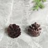Pinhas Plásticas Simuladas, Pinhas Falsas, Decorações de Natal, Acessórios, Acessórios Artesanais DIY