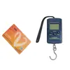 Balanza de cuerda por lotes directa de fábrica WeiHeng Weiheng, báscula de regalo, báscula cuadrada pequeña para frutas y verduras, báscula electrónica de 40 KG