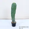Cactus Pilares de Dragón Simulados Cactus Parásito Planta del Desierto Marroquí Decoración Suave para Paisajismo Modelo Decoración de Proyectos