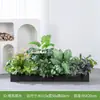 [Série I100] Caixa de Flores de Planta Simulada Planta Verde Sala de Estar Plástico Flor Artificial Porta Varanda Parede de Fundo Decoração