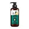 Shampoo de Gengibre Zhenxiao Anticaspa Hidratante para Cabelos Controle de Oleosidade Refrescante Melhora a Coceira no Couro Cabeludo 500ml Shampoo Atacado