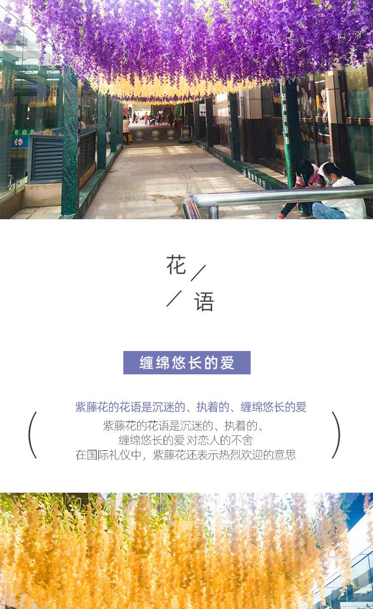 详情_04.jpg