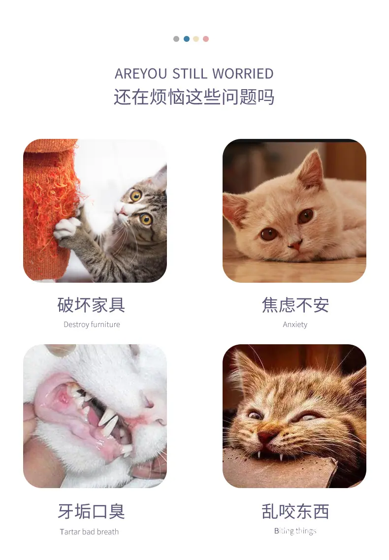 详情_02.jpg