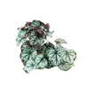 Adornos de Plantas para Reptiles, Caja de Cría, Paisajismo, Plantas Verdes, Plantas Acuáticas Simuladas, Decoración para Acuario, Mimbre de Plástico con Base